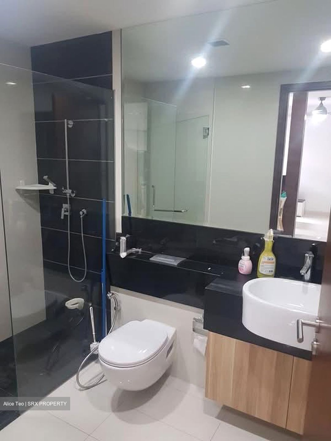 Alexis (D3), Apartment #610716861